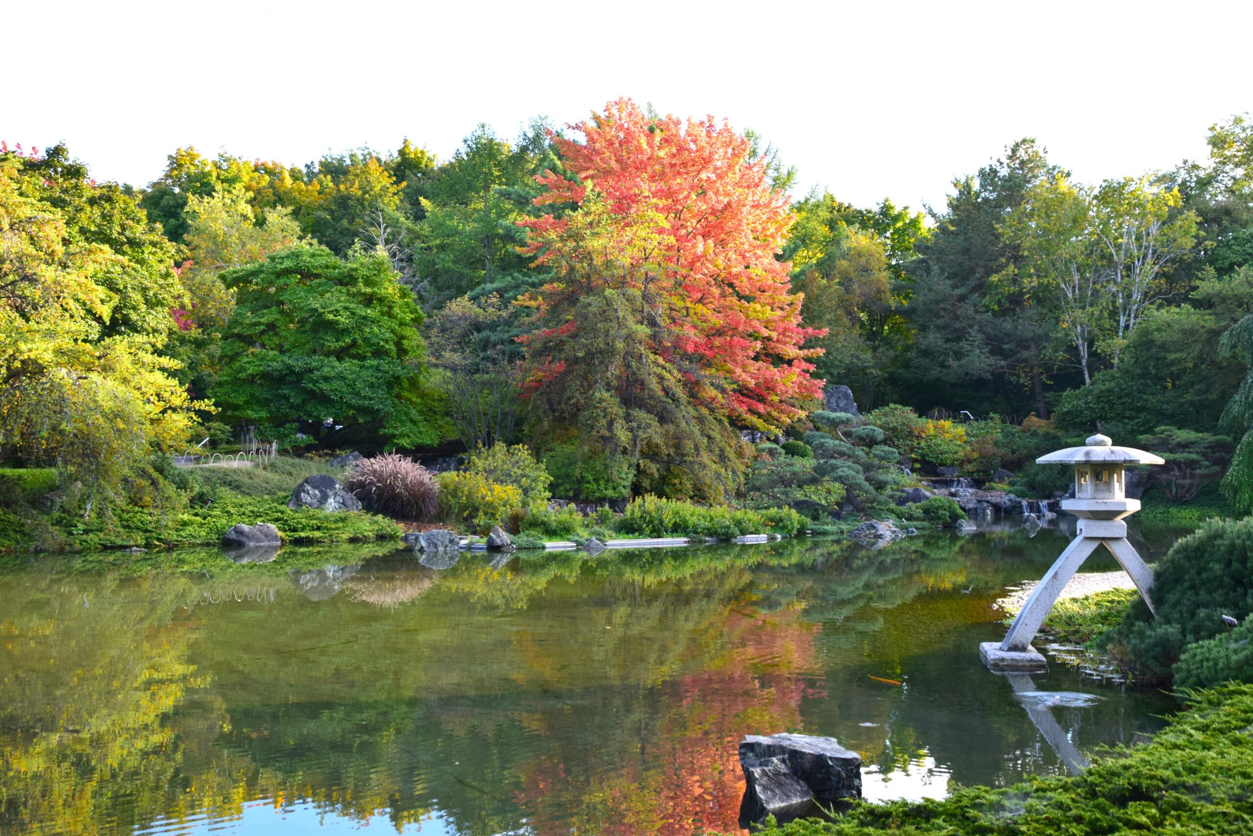 Carnet : découvrir la magie de l'automne au Québec ! Dsc_0118