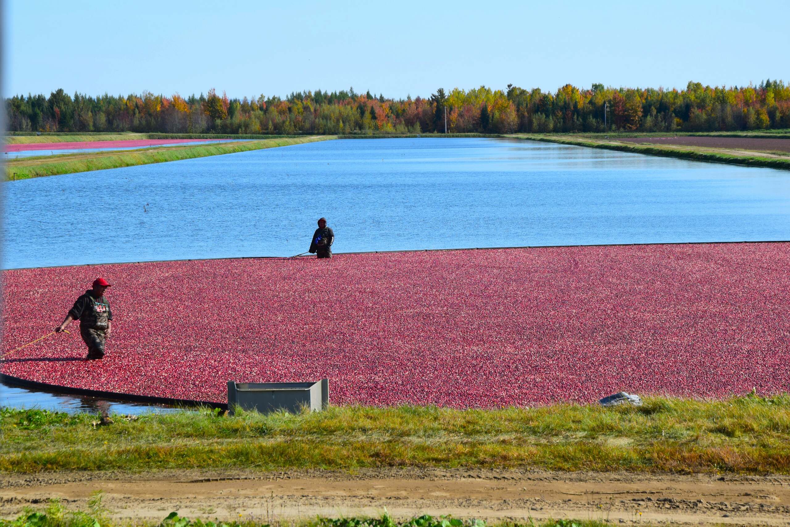 Carnet : découvrir la magie de l'automne au Québec ! Dsc_0221