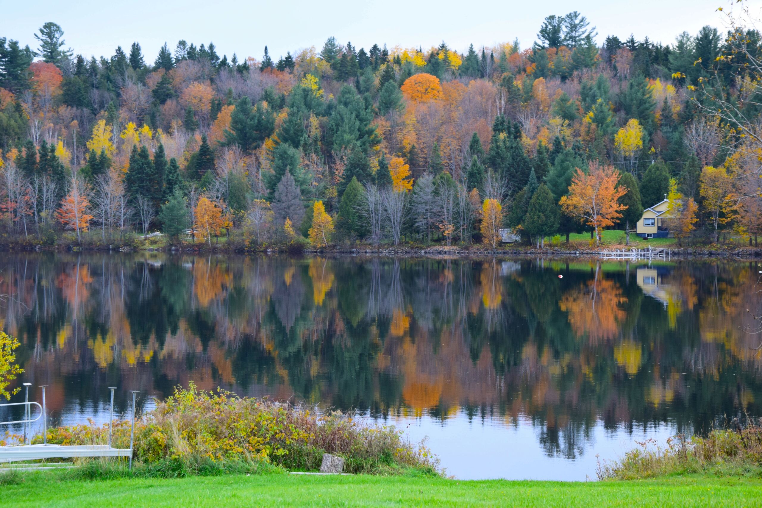 Carnet : découvrir la magie de l'automne au Québec ! Dsc_0916