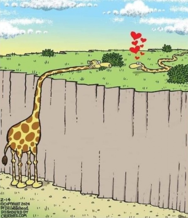 humour en images II - Page 17 Girafe11