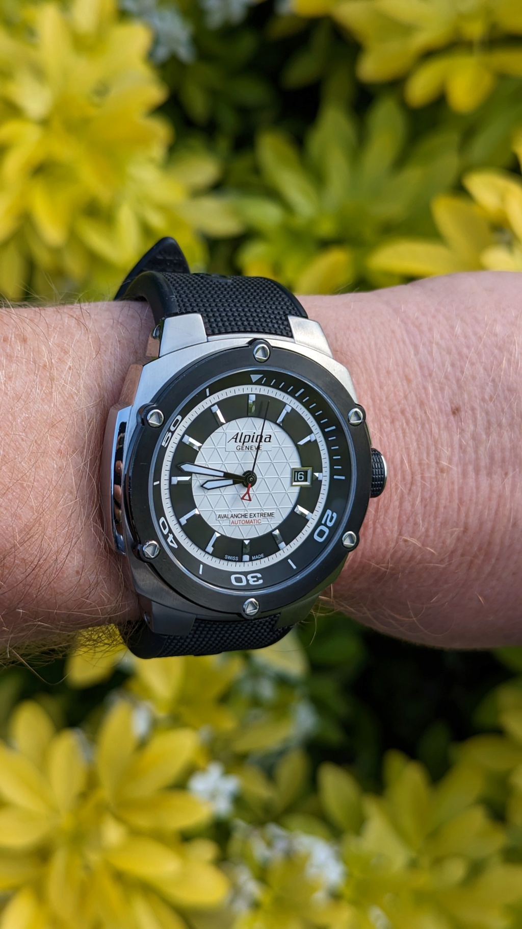 frederique constant - Le club des heureux possesseurs d'ALPINA - tome III - Page 42 Pxl_2131