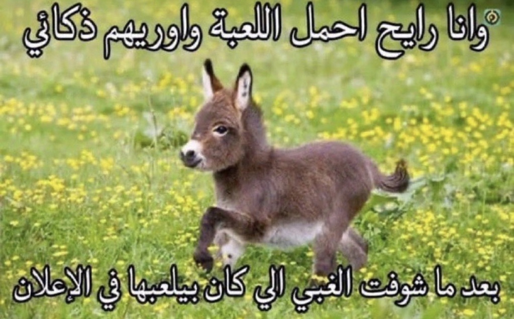 سجل حضورك بنكتة - صفحة 9 Img_0723