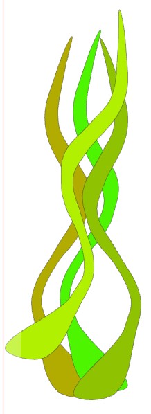 Vectorisation manuelle et "soudage" Algues10