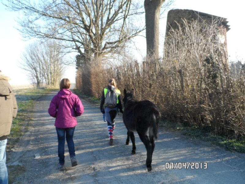 Ballade avec Camille et ballade avec Shana 54464210