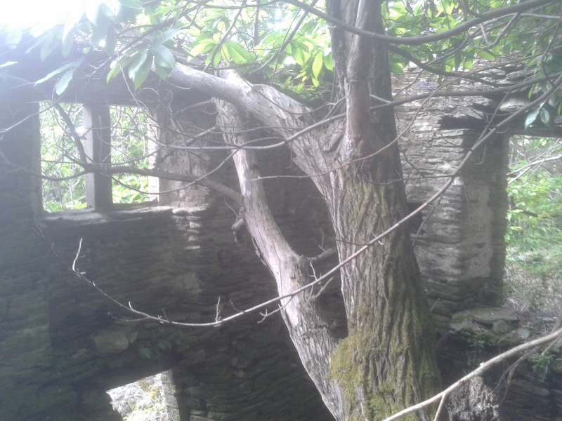 ruines et habitats 20130513