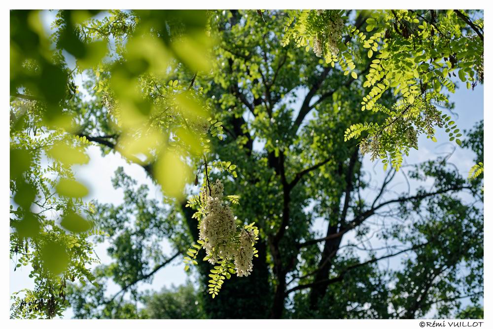 1 heure à moins d'1 kilomètre de mon balcon - Page 8 20-04185