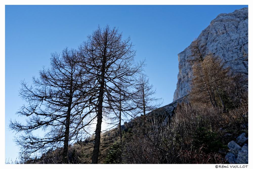 3 h (ou presque) à moins de 20 km (ou presque) de mon balcon 20-11113