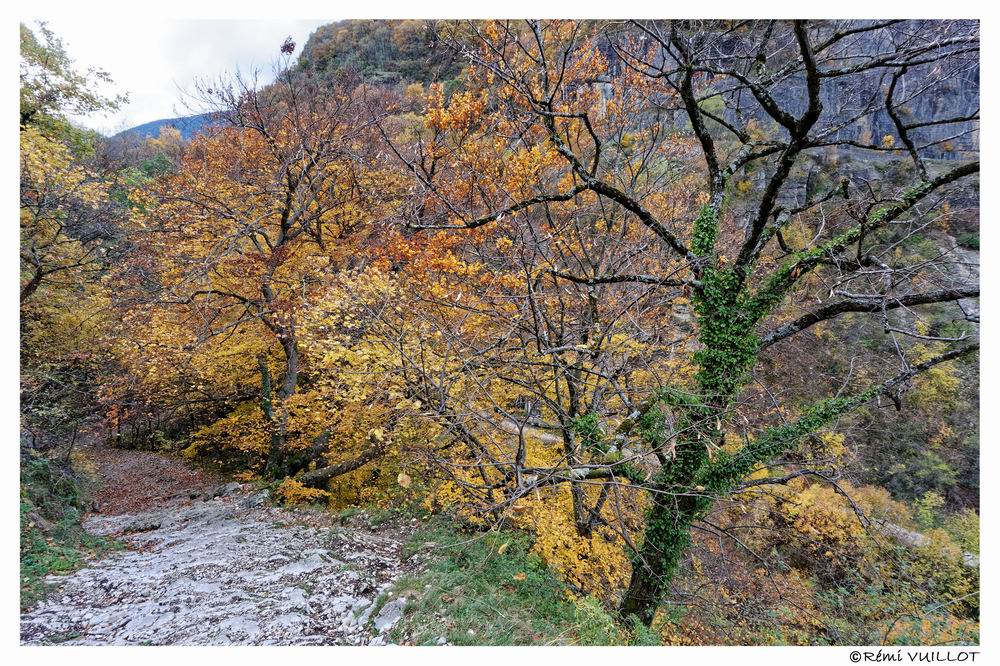couleurs d'automne aux portes de Grenoble (38) 19 et 20 nov 22-11-24