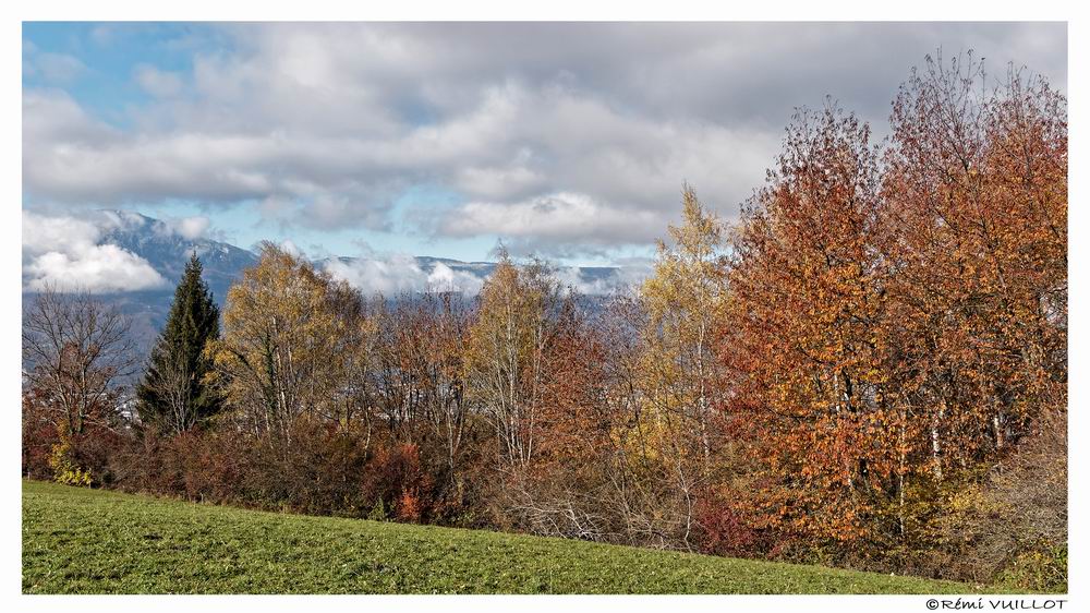 couleurs d'automne aux portes de Grenoble (38) 19 et 20 nov 22-11-41