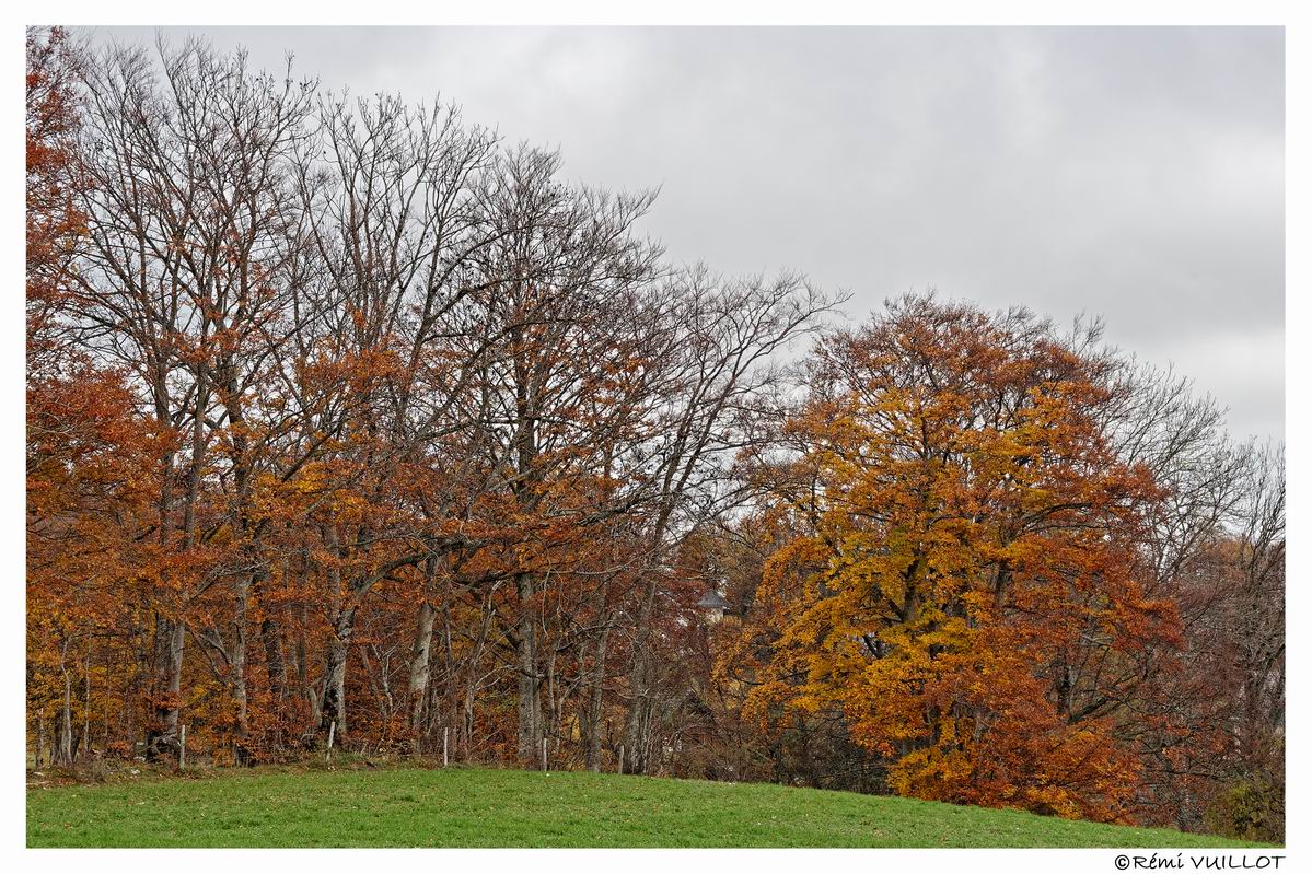 couleurs d'automne aux portes de Grenoble (38) 19 et 20 nov 22-11-59