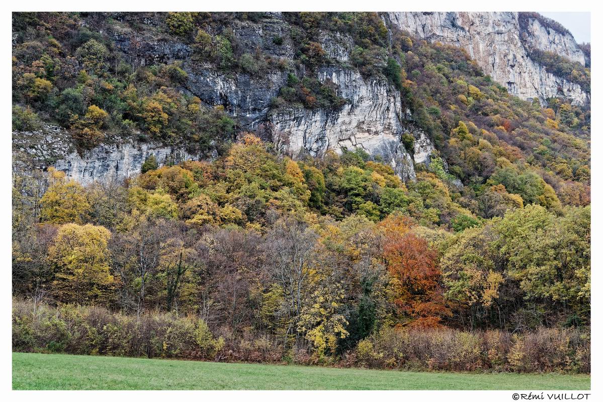 couleurs d'automne aux portes de Grenoble (38) 19 et 20 nov 22-11-67