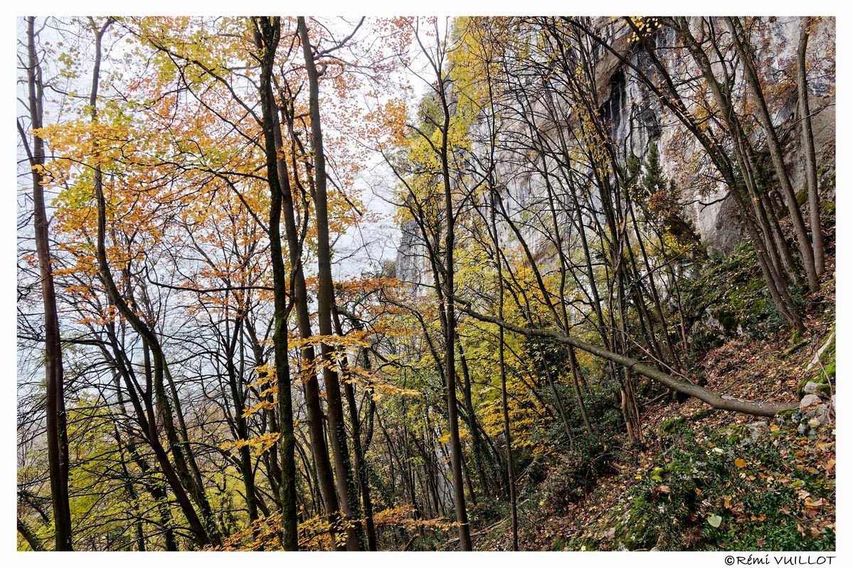 couleurs d'automne aux portes de Grenoble (38) 19 et 20 nov 22-12-14