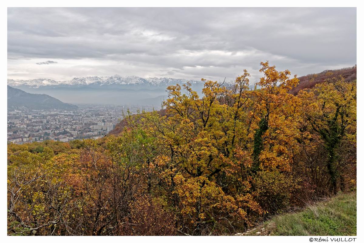 couleurs d'automne aux portes de Grenoble (38) 19 et 20 nov 22-12-16