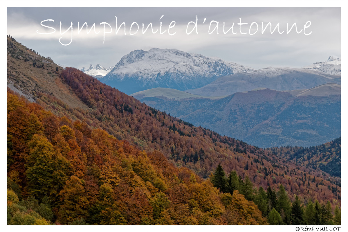 Symphonie d'automne 23-11-11