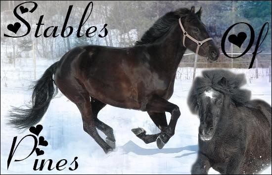 Stables of pines