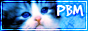 SOS'Animals Logo10