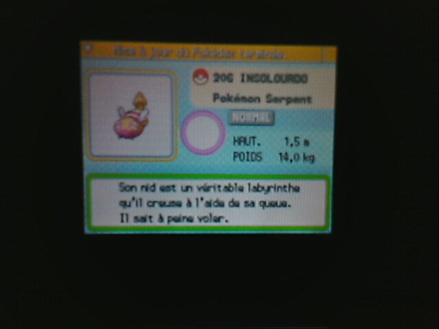 Pokedex en shiney - Page 8 Img01411