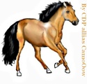 Colorations de chevaux [By Praline] Cheval15