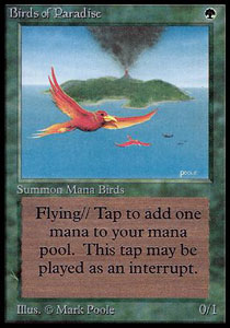 MAGIC THE GATHERING Oiseau10