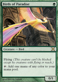 MAGIC THE GATHERING Oiseau11