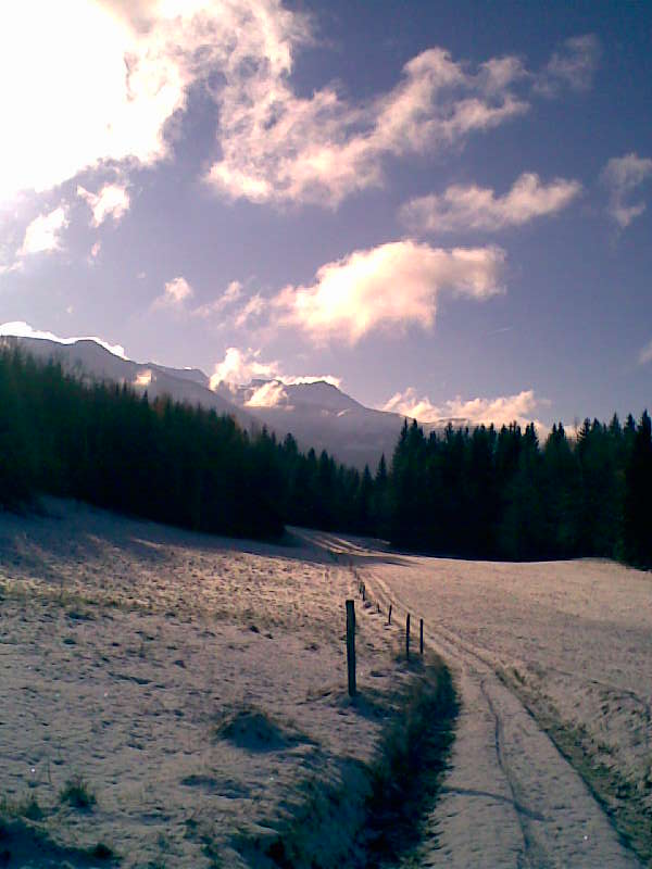 Dans le froid et la neige Photo035