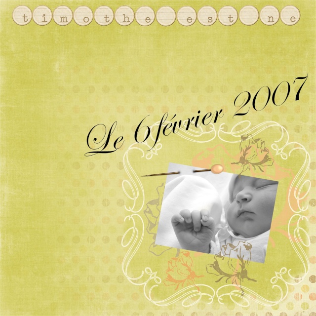 Mes pages digiscrap Scrapt10