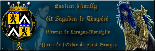 Livrées de Messer Bastien d'Amilly, dit Sagaben le Tempéré Sagabe11