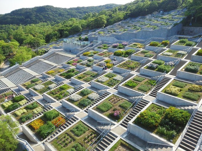 Jardins - Page 13 A2202