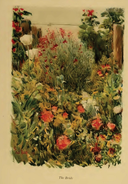 Celia Thaxter Aa644