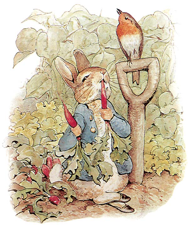 Beatrix Potter Aaa1107