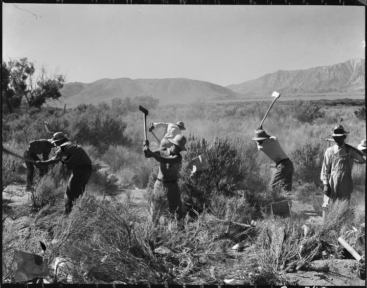 Dorothea Lange Aaa1963