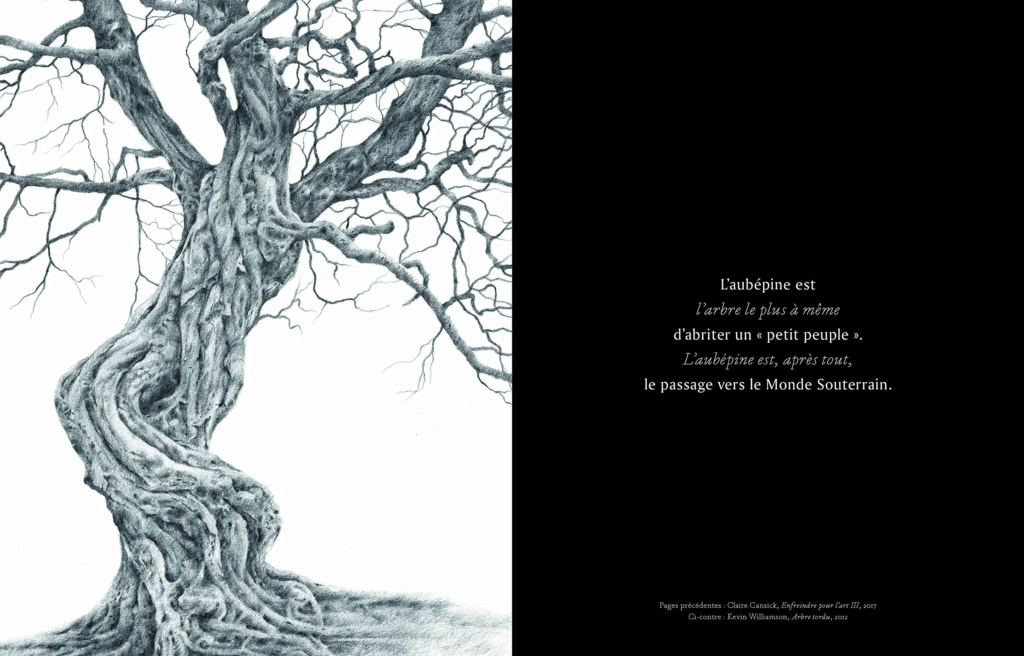 Les arbres dans l'art Aaaa1928