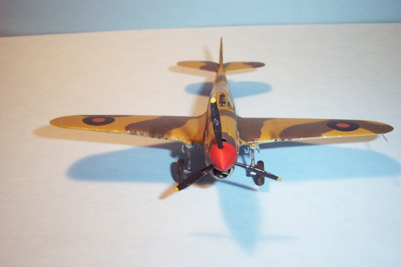 Curtiss KITTYHAWK Mk1 trop  (hasegawa) Conco288