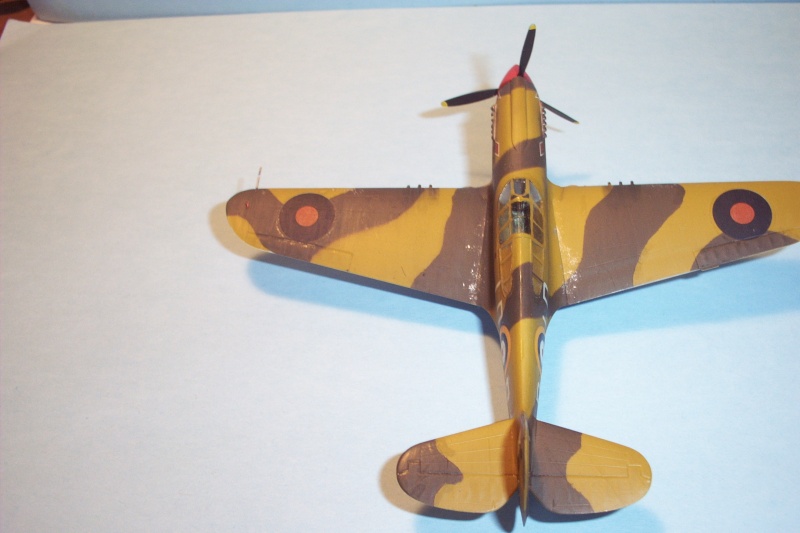 Curtiss KITTYHAWK Mk1 trop  (hasegawa) Conco290