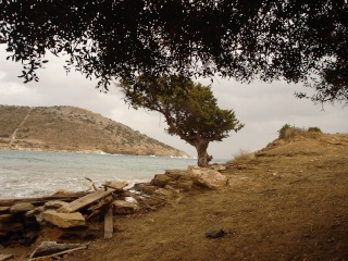 Les Plages à Naxos 2008-341