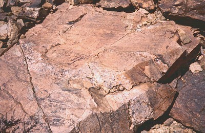 الموسوعه المصوره للمعادن والصخور Gneiss10