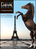 Fanfare de cavalerie de la GR au Salon du cheval de Paris 12280010