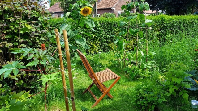 TOUT SAVOIR SUR LA PERMACULTURE, CETTE PRATIQUE QUI RESPECTE L’HARMONIE NATURELLE ENTRE LES PLANTES A1132