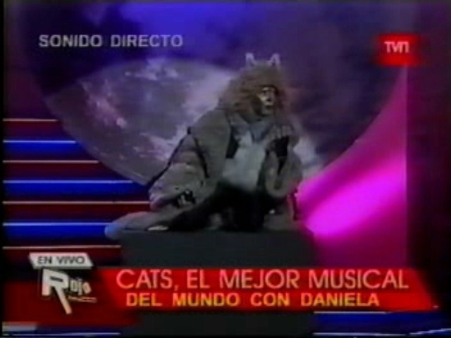 Daniela Primer musical de Cats Nve00176