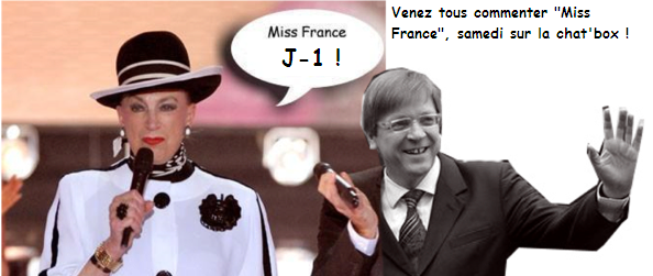 (TF1) Miss France - Page 5 Encode11