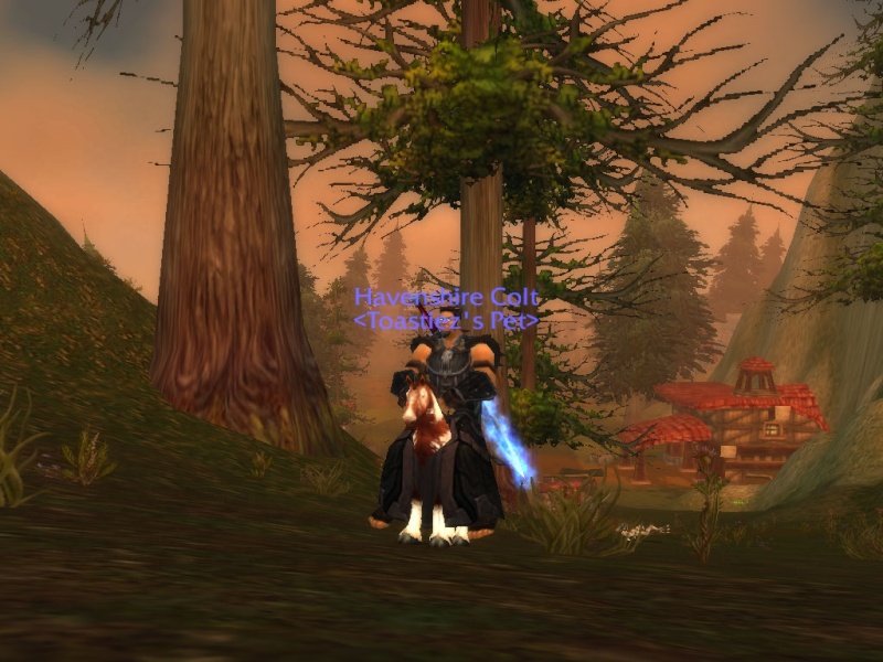 THE WOW SCREENSHOT OF THE DAY! Wowscr11