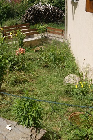 Mes parcs !! Dsc07349