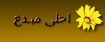 ابي 6 رتب الحين 410