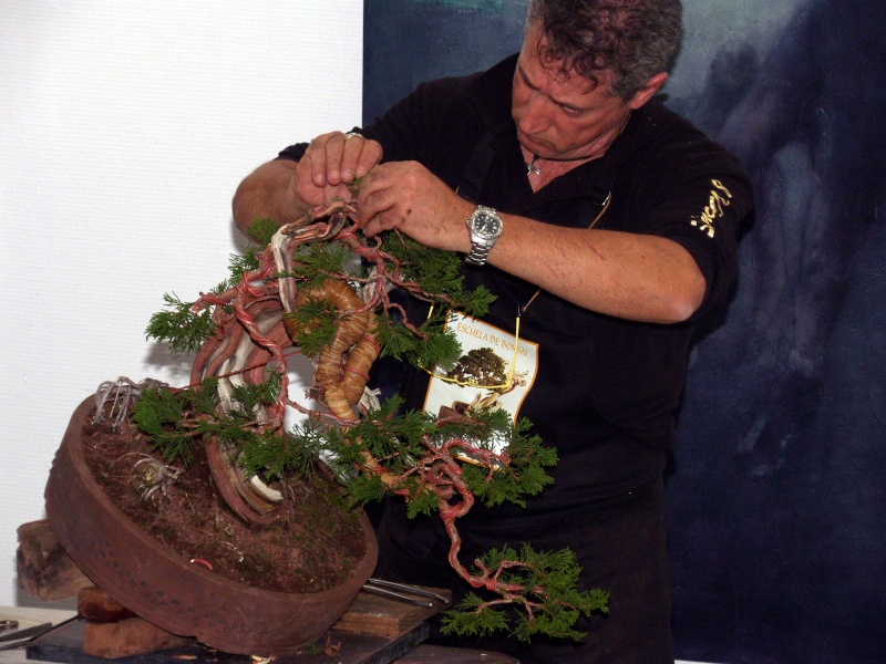 IV CONCURSO NACIONAL MUSEO BONSAI ALCOBENDAS - Página 5 Sh100860