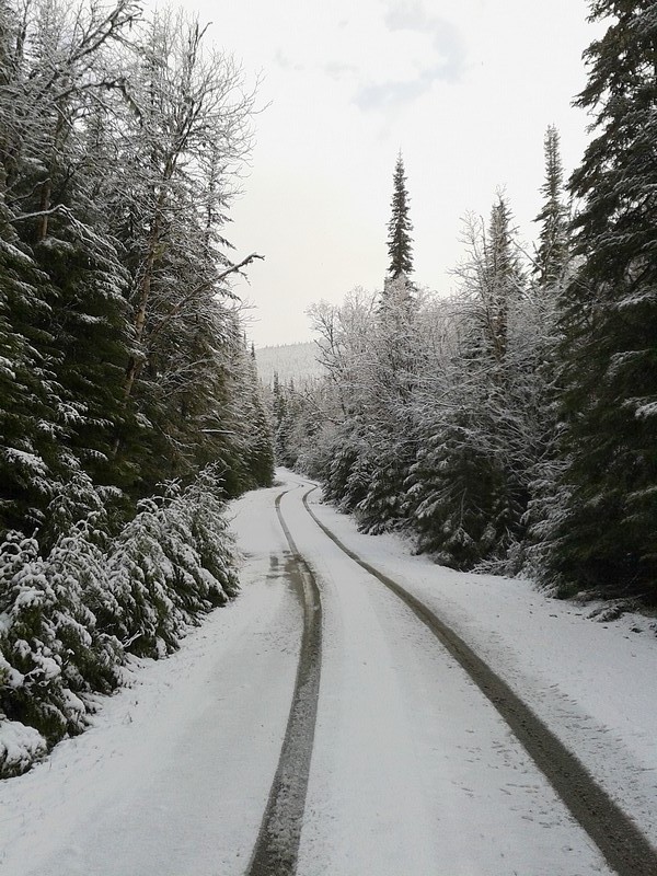 Réserve faunique des Laurentides le 26 mai. Lauren11