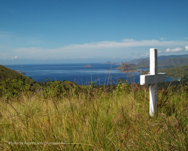 [Indonésie] - Mémorial du Baron Rudolf Ile de Komodo 10992510