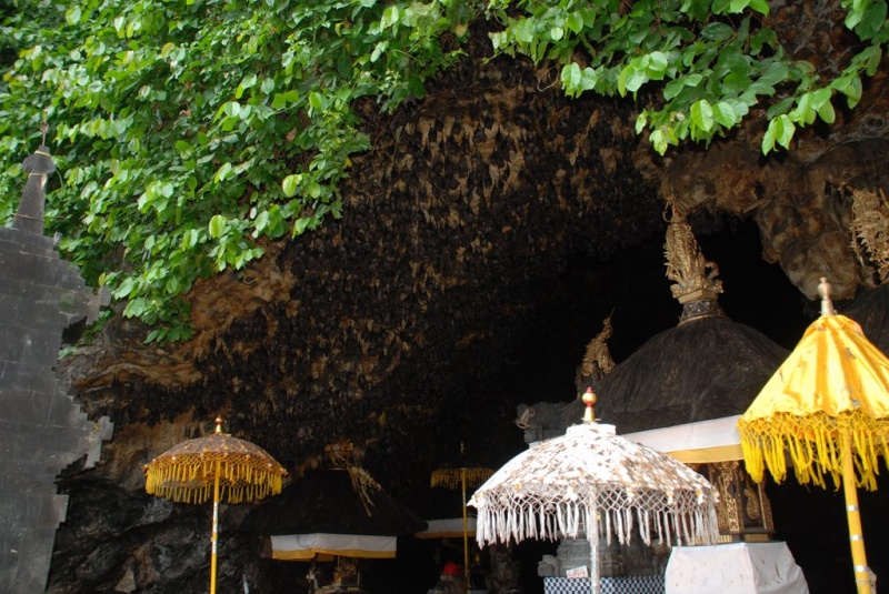 [Indonésie] -  Temple de Goa Lawah Bali 17931310