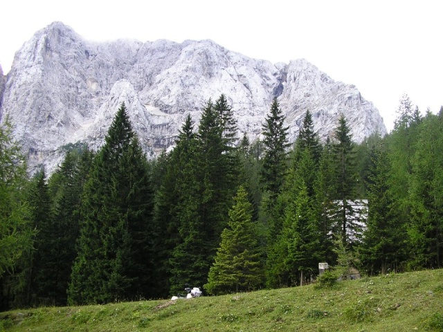 La route des Alpes - Autriche ( une dizaine de jours ) - Page 2 56-les10