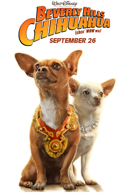 Beverly Hills Chihuahua (Pelicula) Chihua10