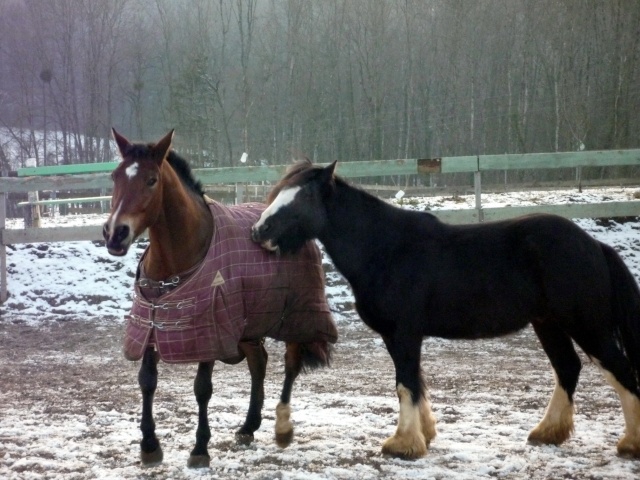 Jackson et son grand pote Orano P1000916